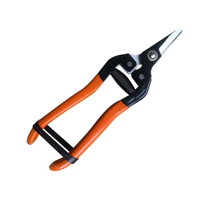 Hand Pruner