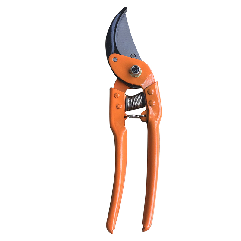 Hand Pruner